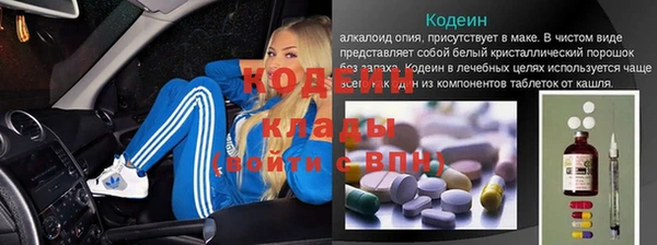 дурь Арсеньев