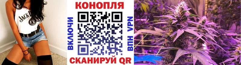 Бошки Шишки MAZAR  Голицыно 